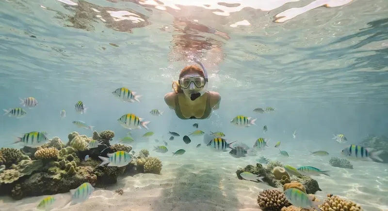 Snorkeler surrounded by tropical fish in the crystal-clear waters of the Rosario Islands on a Cartagena Colombia excursion